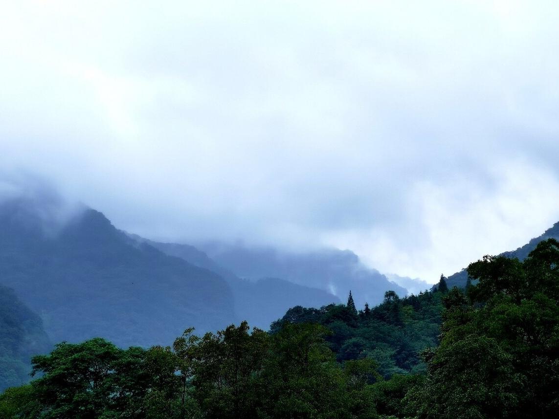 李商隐的夜雨寄北写于何年,李商隐的夜雨寄北表达什么