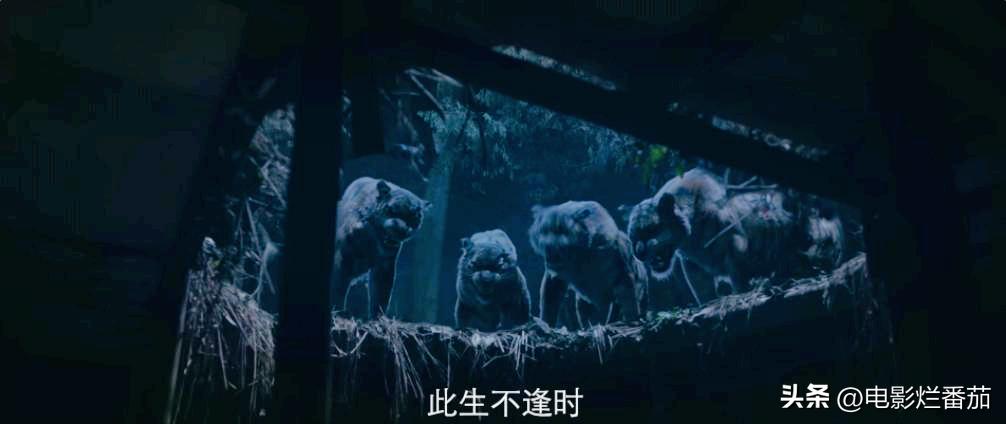 谢苗的电影为什么越来越好看了,谢苗扛起中国动作电影大旗