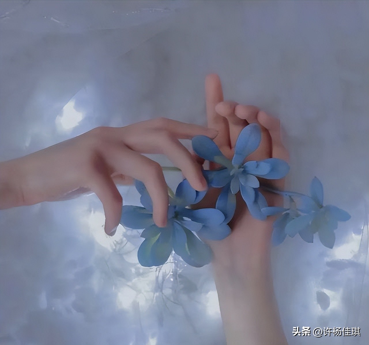 12星座智商排名,12星座性格特点漫画