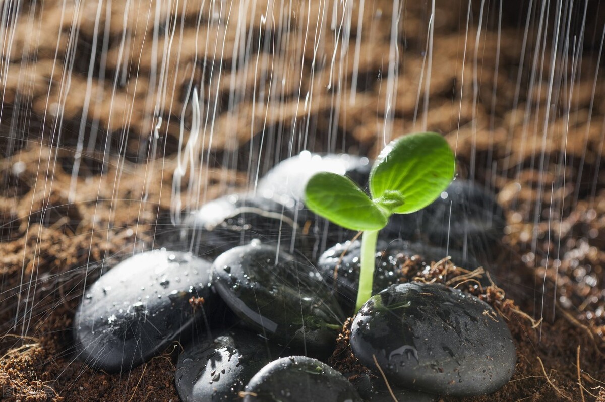 男子因感情问题跪下,男孩为了心爱的女孩被迫下跪道歉