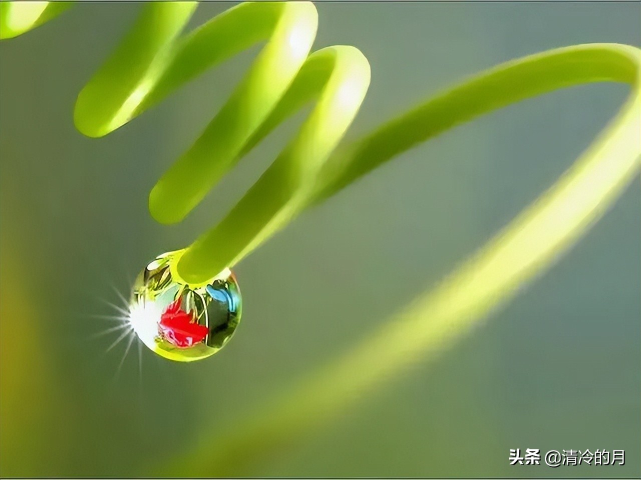 兄弟两个人经典语录,人生感悟兄弟姐妹情