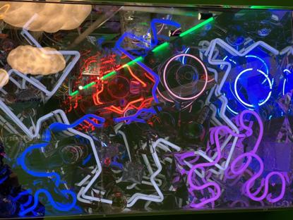 BINGO云尚@MEPUSSHUBPUSSWONDERLAND艺术项目伏虎潮尚落地于郑州