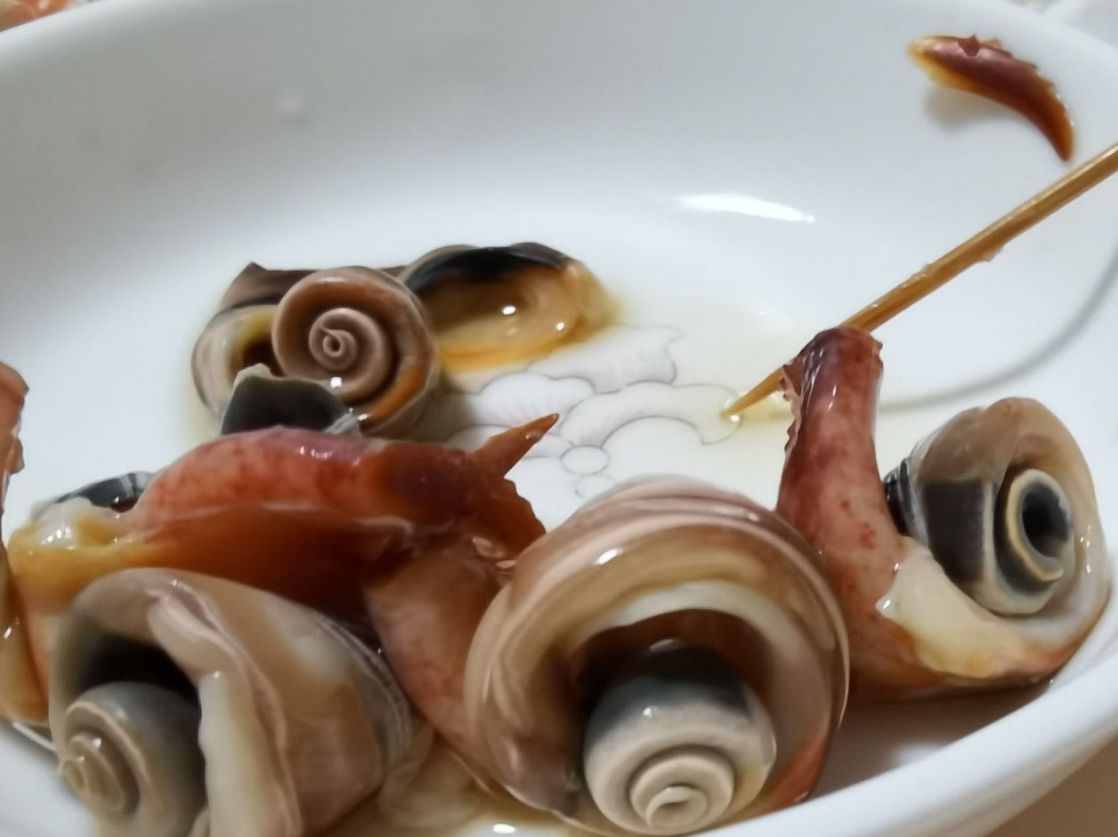 海南海鲜贝类有哪些,海南海鲜贝类