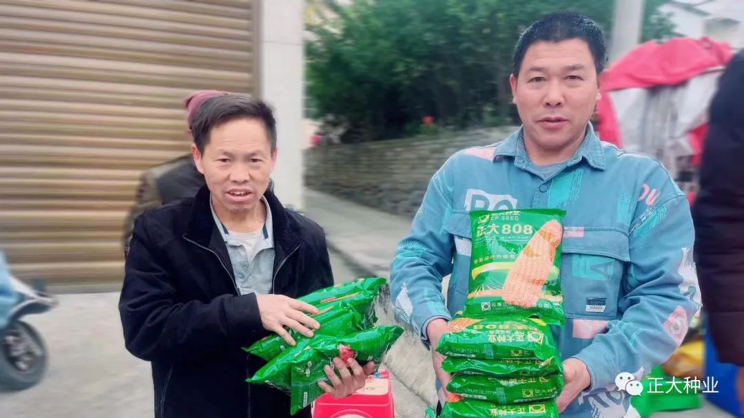正大808玉米种子怎么样,正大808玉米和迪卡008哪个高产