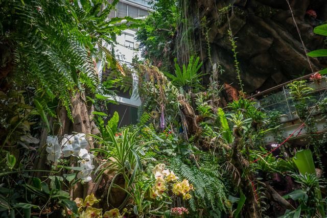 广州白云山风景区出现蛇,广州哪个景区好多蛇