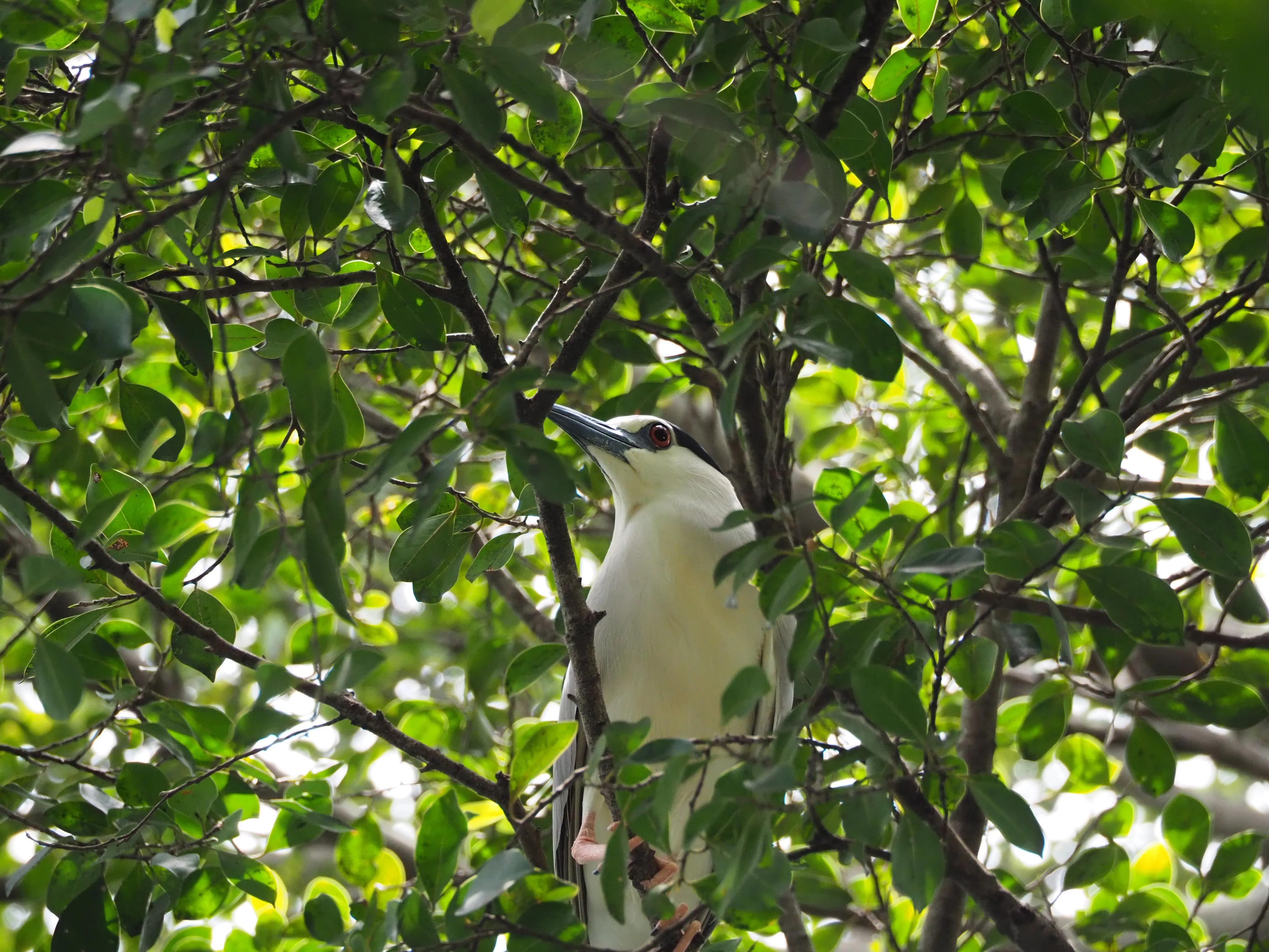 五一假期，O记实录