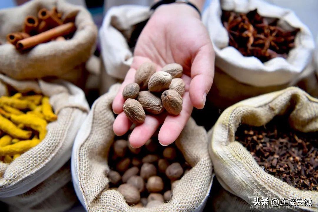 李斌、倪泽望、陈天石、李西廷……这些头部企业家为安徽发声