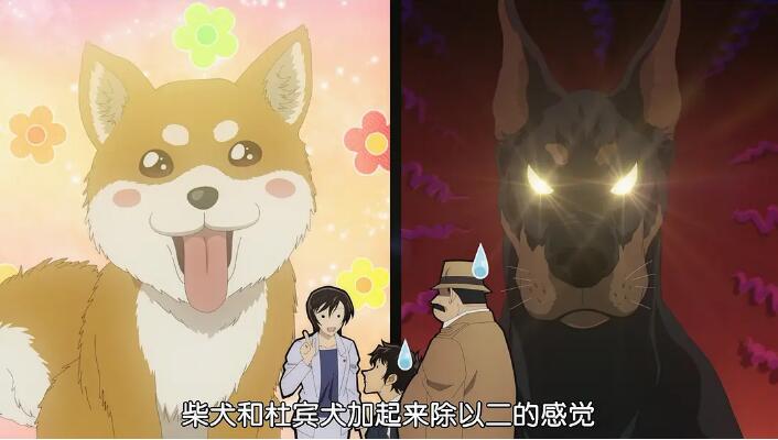 名侦探柯南中佐藤警官的爱情,名侦探柯南中松田和佐藤的关系