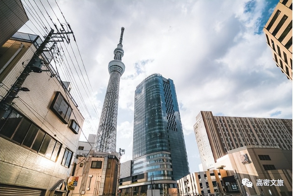 潍坊创建“东亚文化之都”|我们向已获得“东亚文化之都”的城市学什么？（十七）