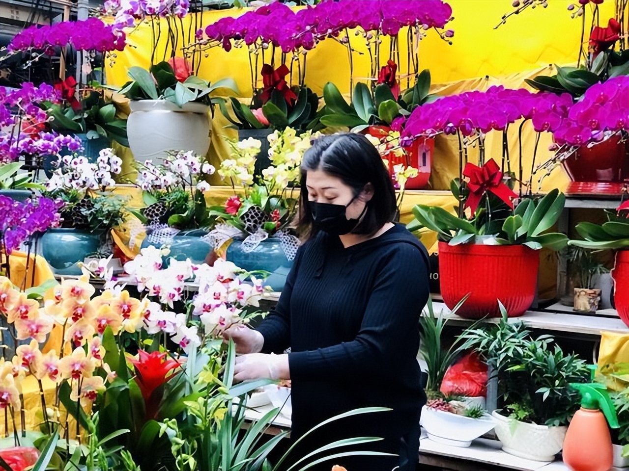 逛花市如何买好看又好养的花,花市上最好买的花有哪些