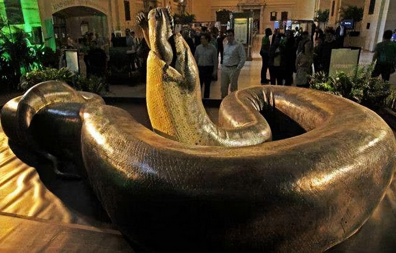 7米长！印尼54岁女子被巨蟒活吞，人心惶惶：还剩条8.2米蟒蛇游荡