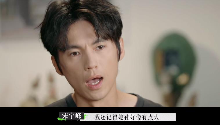 张婉婷宋宁峰最终结果,宋宁峰张婉婷细节分析