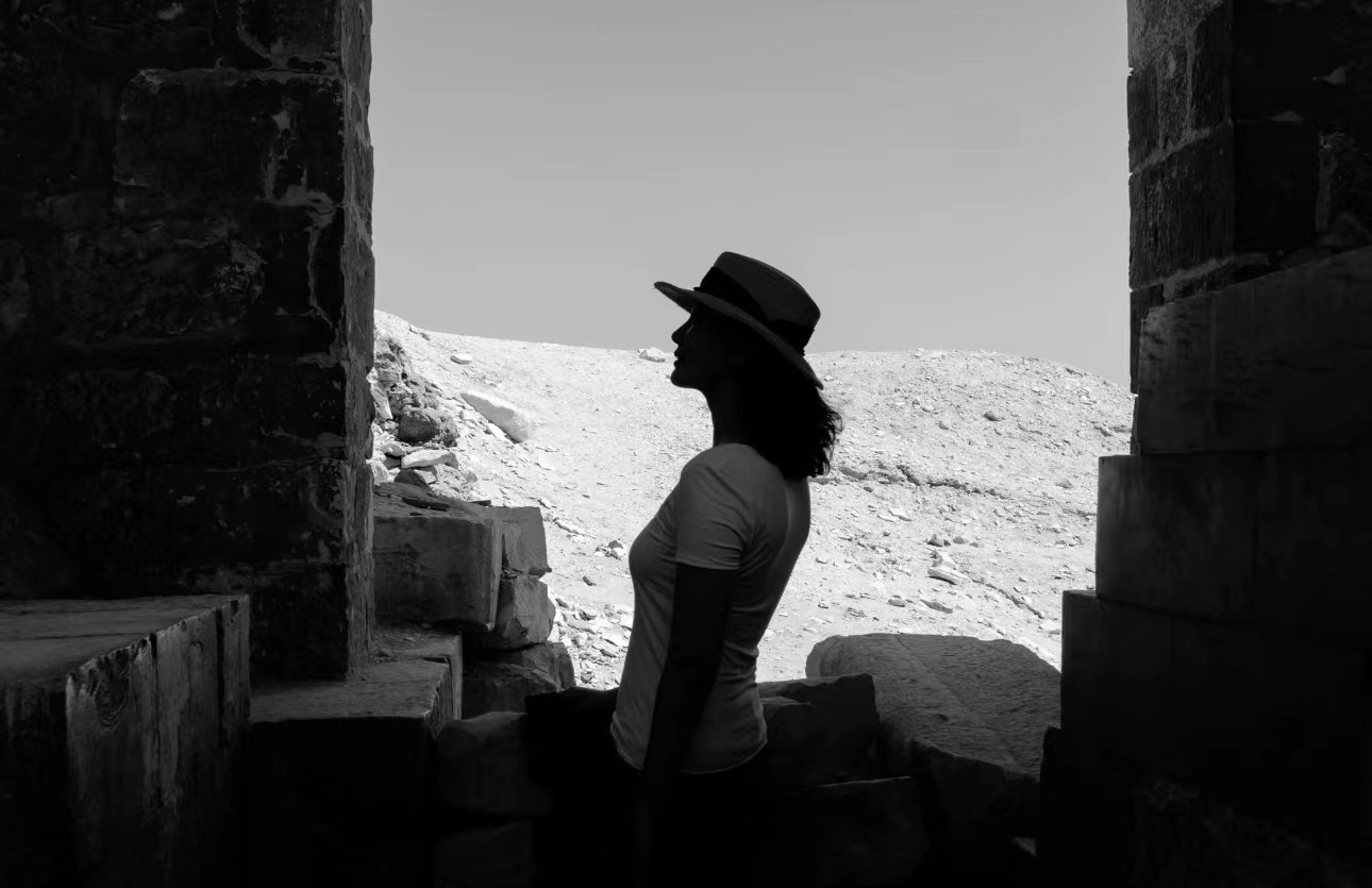 刘芳菲埃及之旅,主持人刘芳菲成名史