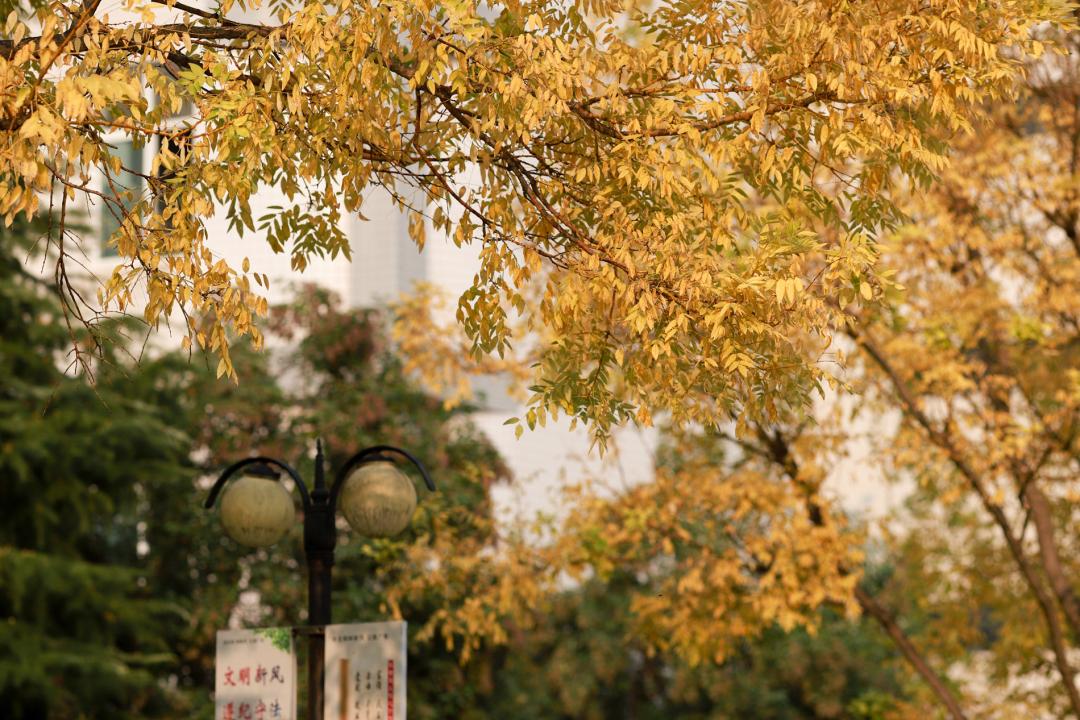 河北省邢台市第三中学高中怎么样,河北省级示范高中名单邢台