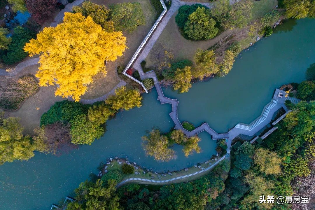 上海公园免费,上海免费公园排行