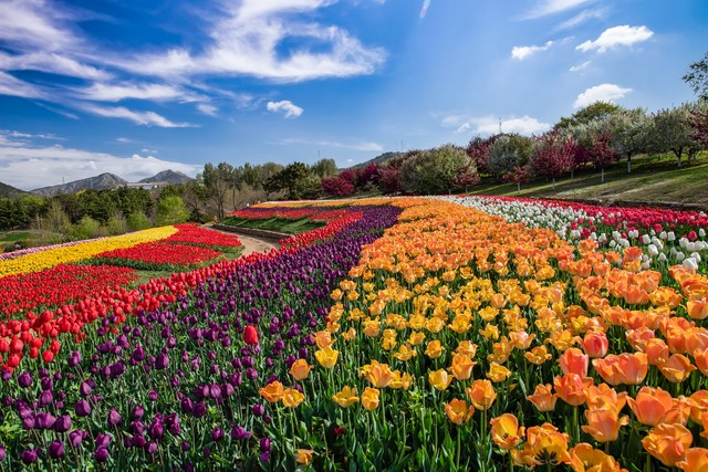 2022年优秀高考作文范例全国甲卷,2022全国乙卷英语高考作文怎么写