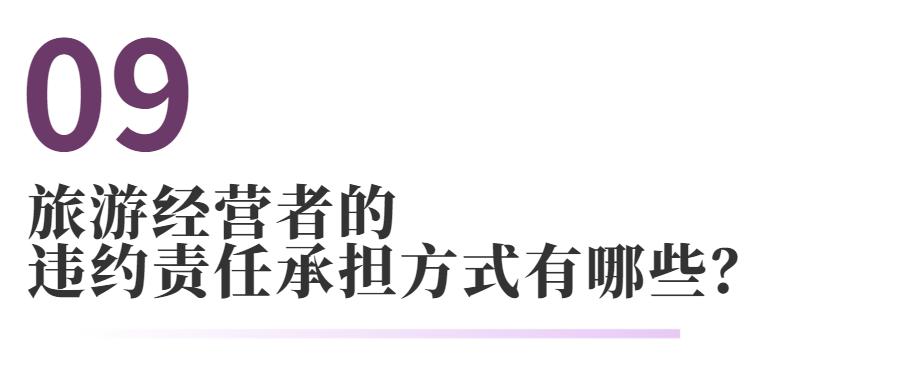 旅游合同纠纷司法解释 (民法典对旅游合同的法律规定)