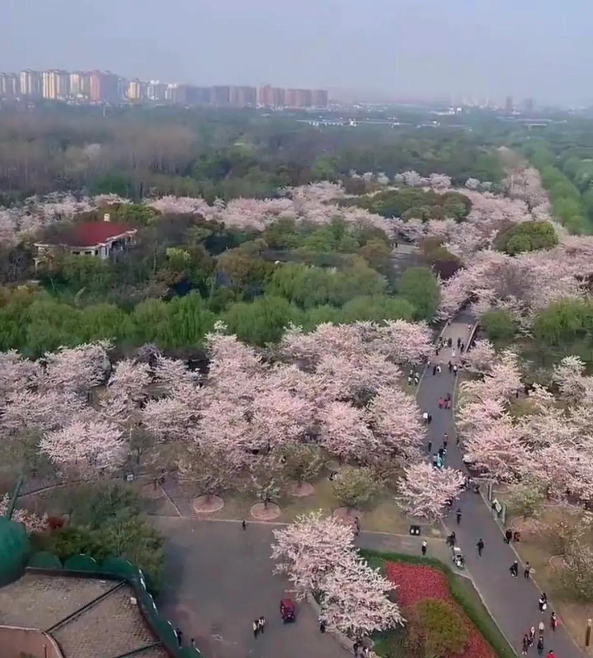 带孩子上海值得玩的景点,上海奉贤旅游景点推荐