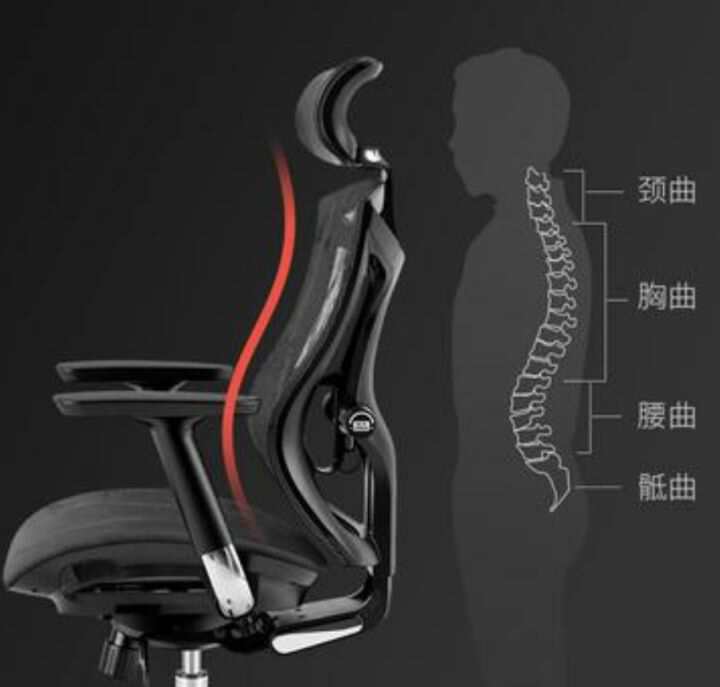 朝九晚五是时候给自己安排一把人体工学椅了！但是你会选购么？