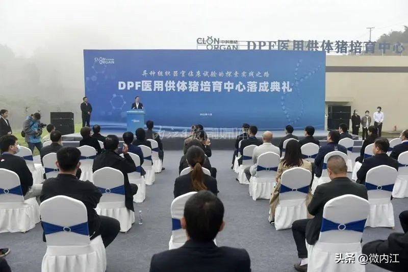 首例人体移植猪器官,中国首例猪器官移植人体实验