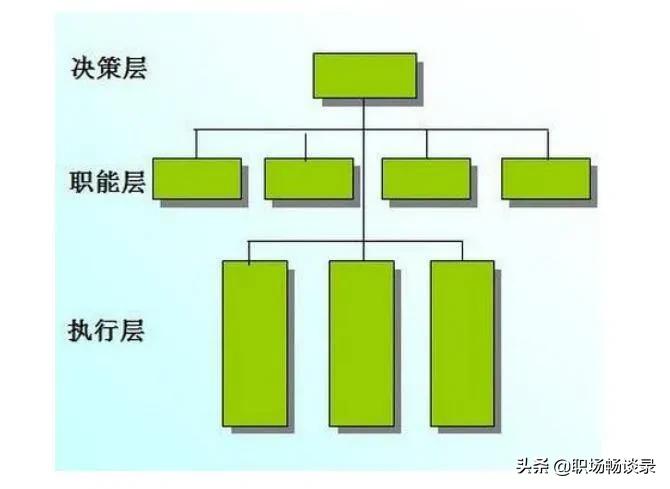 组织结构的四种类型读后感,管理学组织结构类型