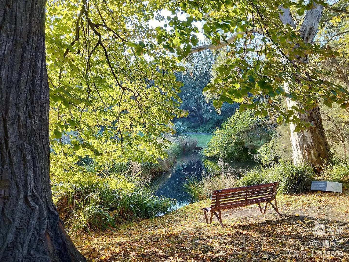 墨尔本旅游文化名城,游澳洲墨尔本