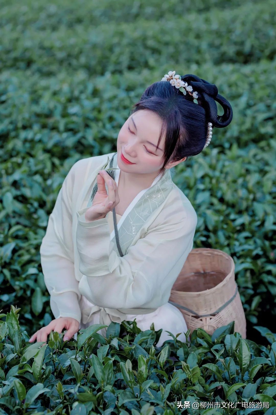 广西柳州三江县万怡酒店何时开业,柳州四星级以上酒店排名