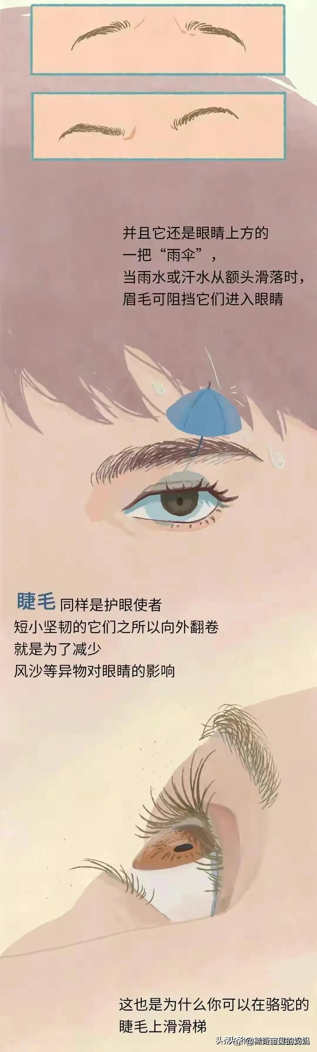 人类的体毛作用,人类为何没有浓密的体毛