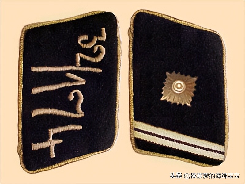 纳粹冲锋队用的什么枪,纳粹德军军衔图解