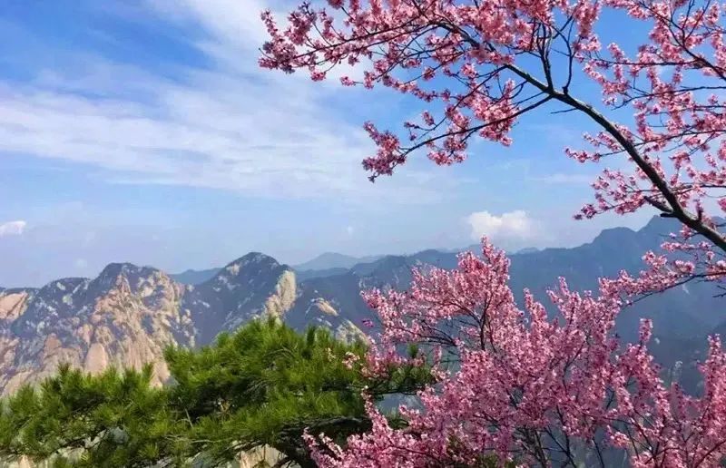 陕西景点免门票政策最新,陕西哪些景点对退役军人免门票