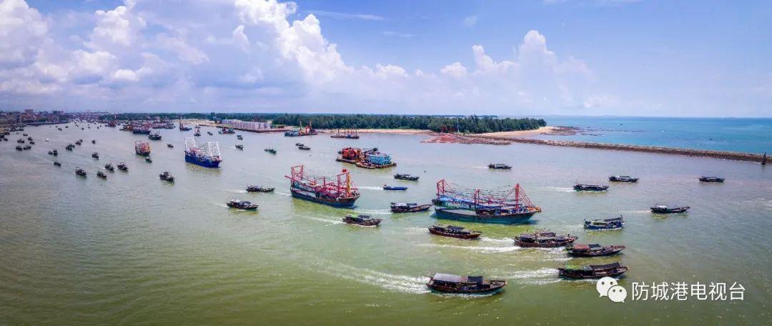 开海了一大波肥美海鲜上岸,开海去哪买海鲜