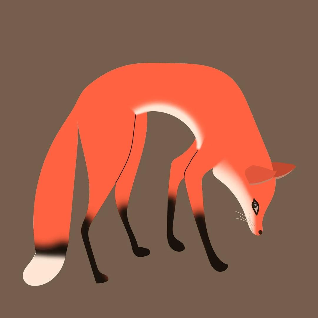 财富的本质选择权更多,财富的真谛