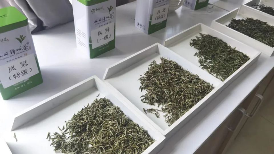 《凤冈锌硒茶“凤头羽”团体标准体系》召开技术审查会