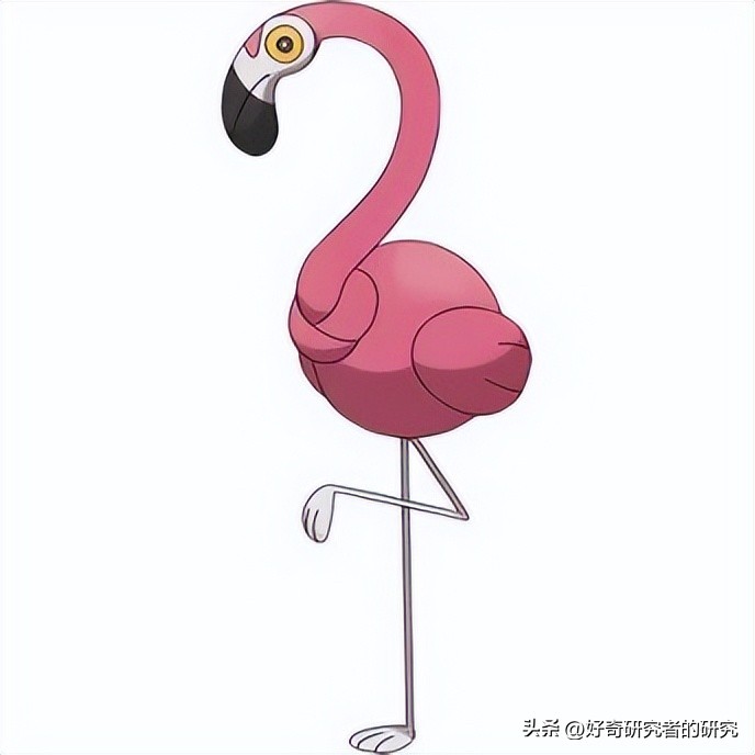 宝可梦大集结所有草系宝可梦,宝可梦大集结现版本最强的宝可梦