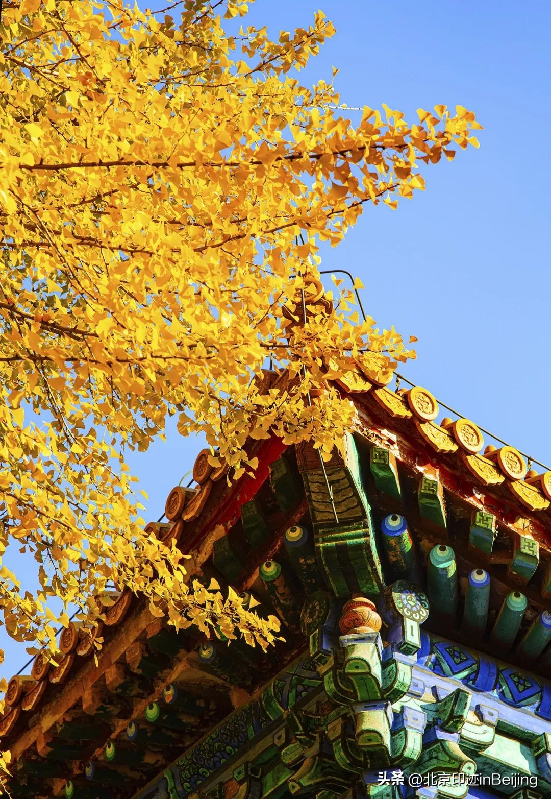 北京的秋朗读,北京的秋的夜晚