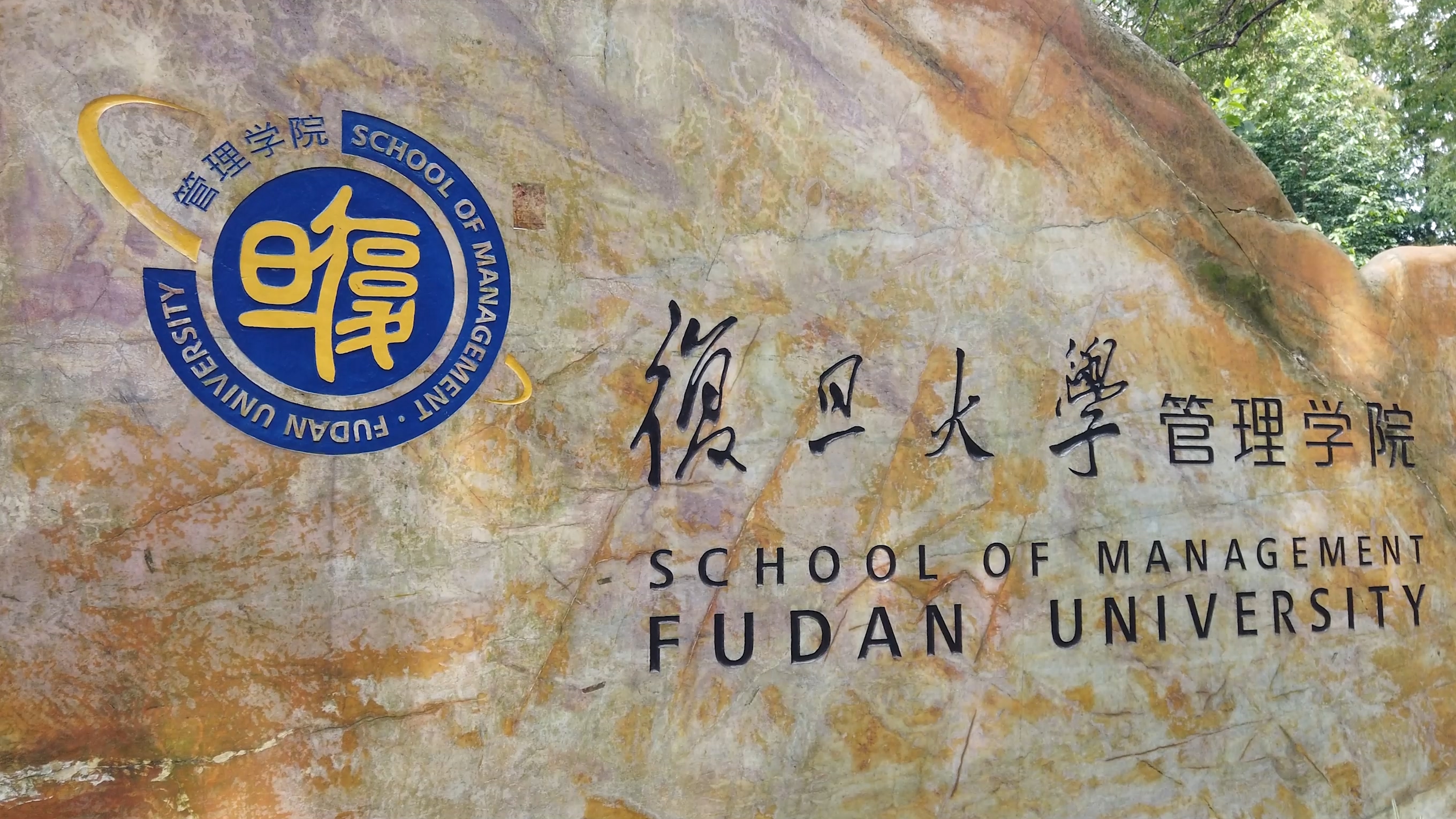 上海杨浦现状,上海杨浦区现在是什么风险