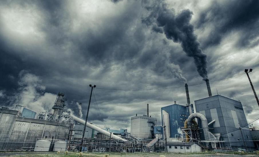 为了猫咪戒烟,为了猫咪健康最好喂什么