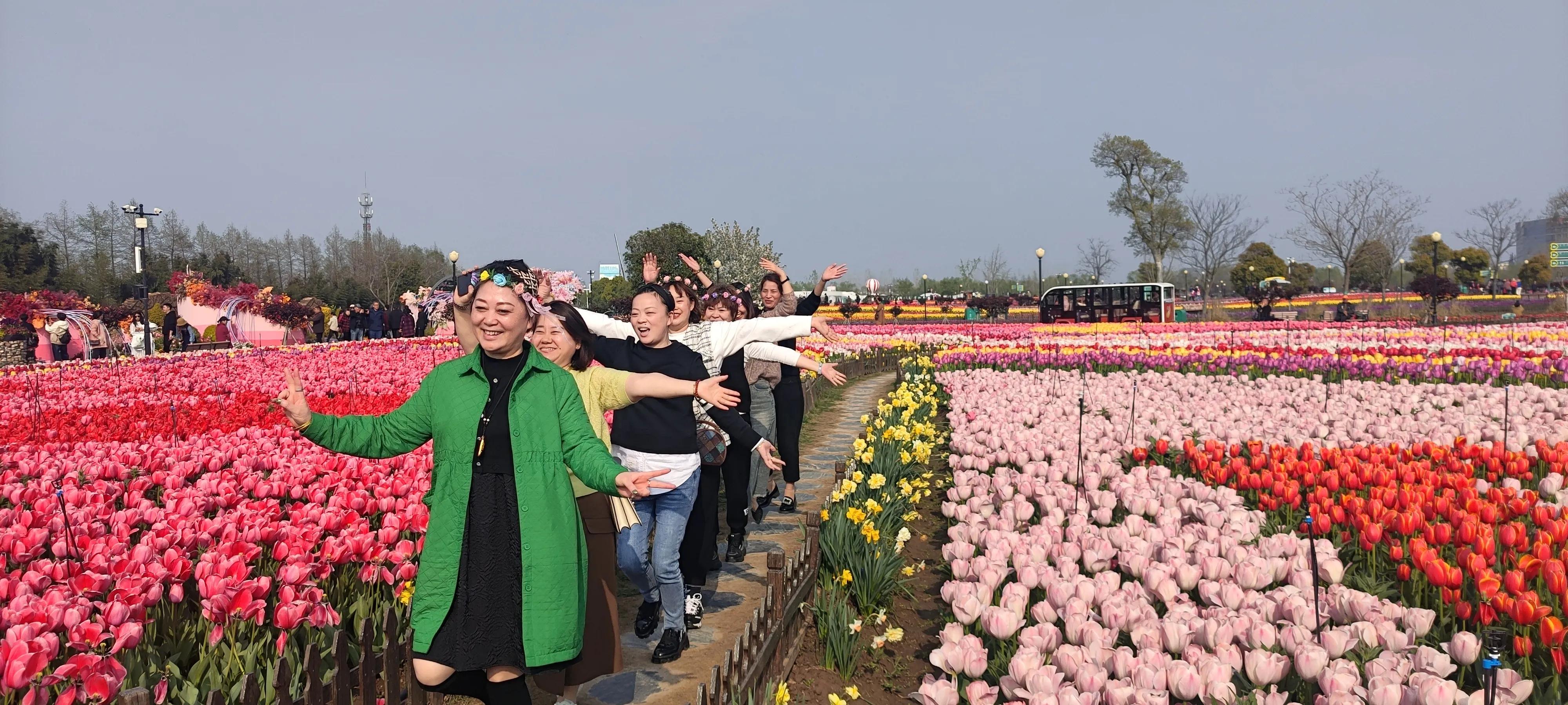 跟旅行团游荷兰花海,荷兰花海门票送鸭蛋