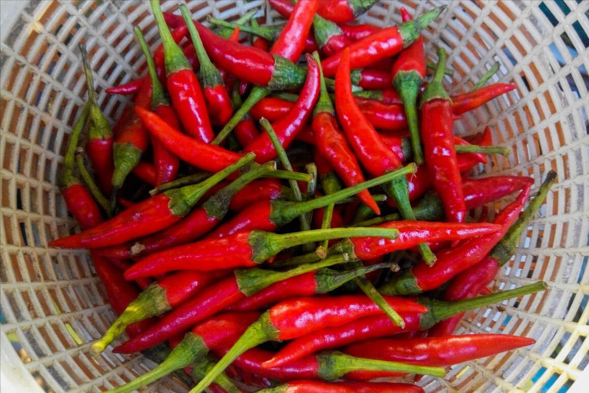 黄豆辣椒酱快速做法不发霉不用晒,辣椒酱怎么腌制好吃而不发霉