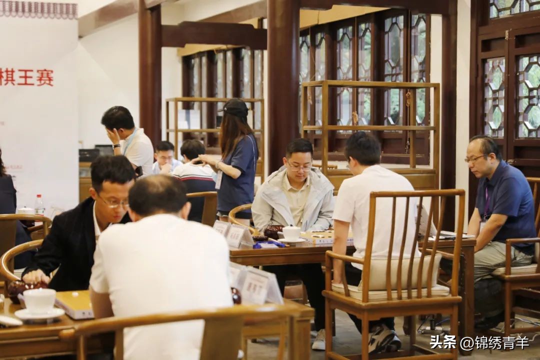 今天，你在哪里晒太阳？走！一起户外撒欢！