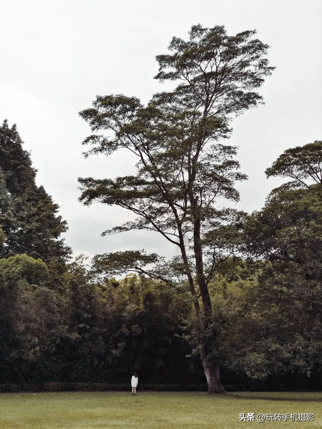 广州拍照打卡景点路线,广州出游打卡拍照姿势