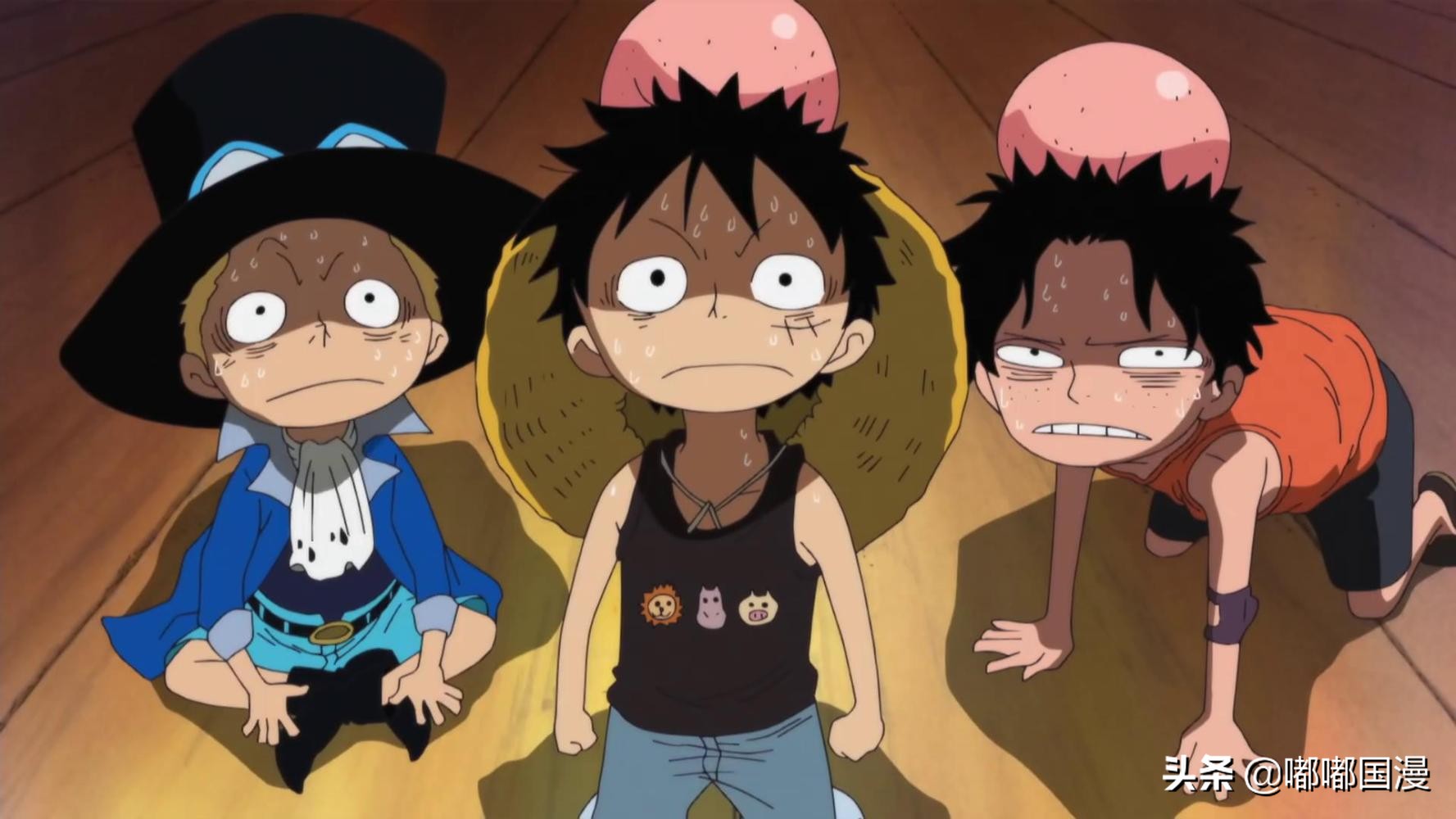 浜轰汉璁ㄥ帉鐗规潈浜轰汉娓存湜鎷ユ湁鐗规潈,浜轰汉璁ㄥ帉鍔ㄧ墿