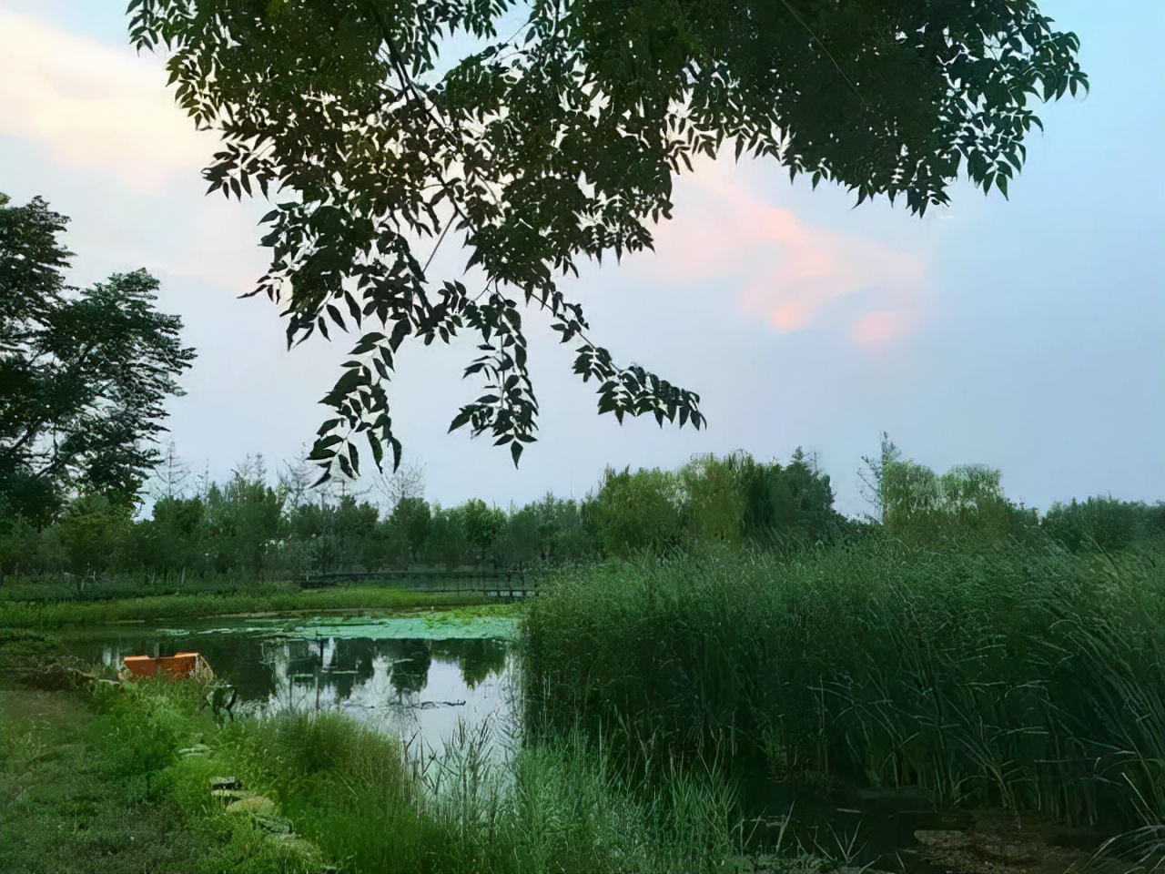 郑州遛娃免费景点大全,郑州市区免费遛娃好去处