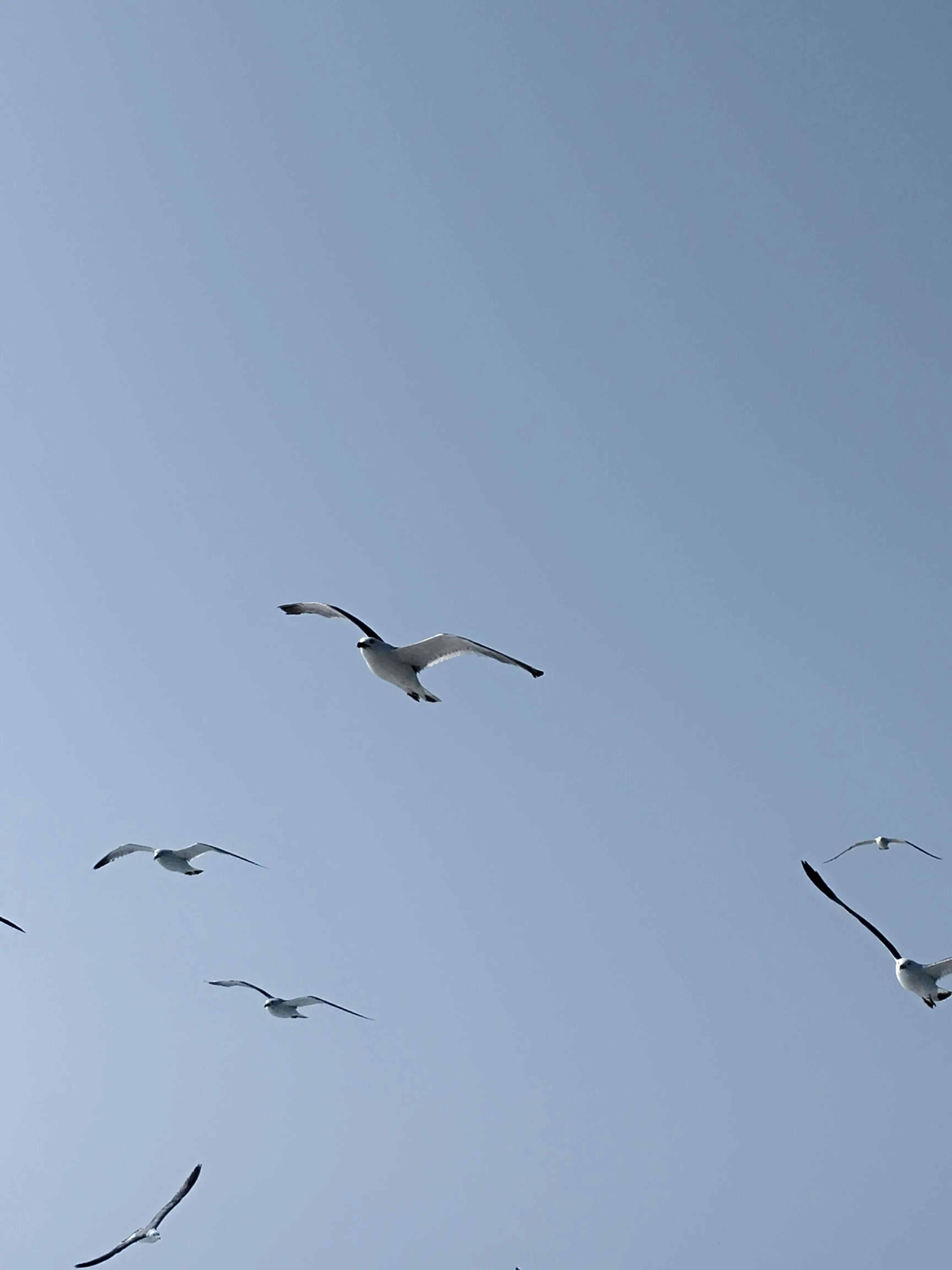 长岛旅游九丈崖,长岛一日游烟台的海