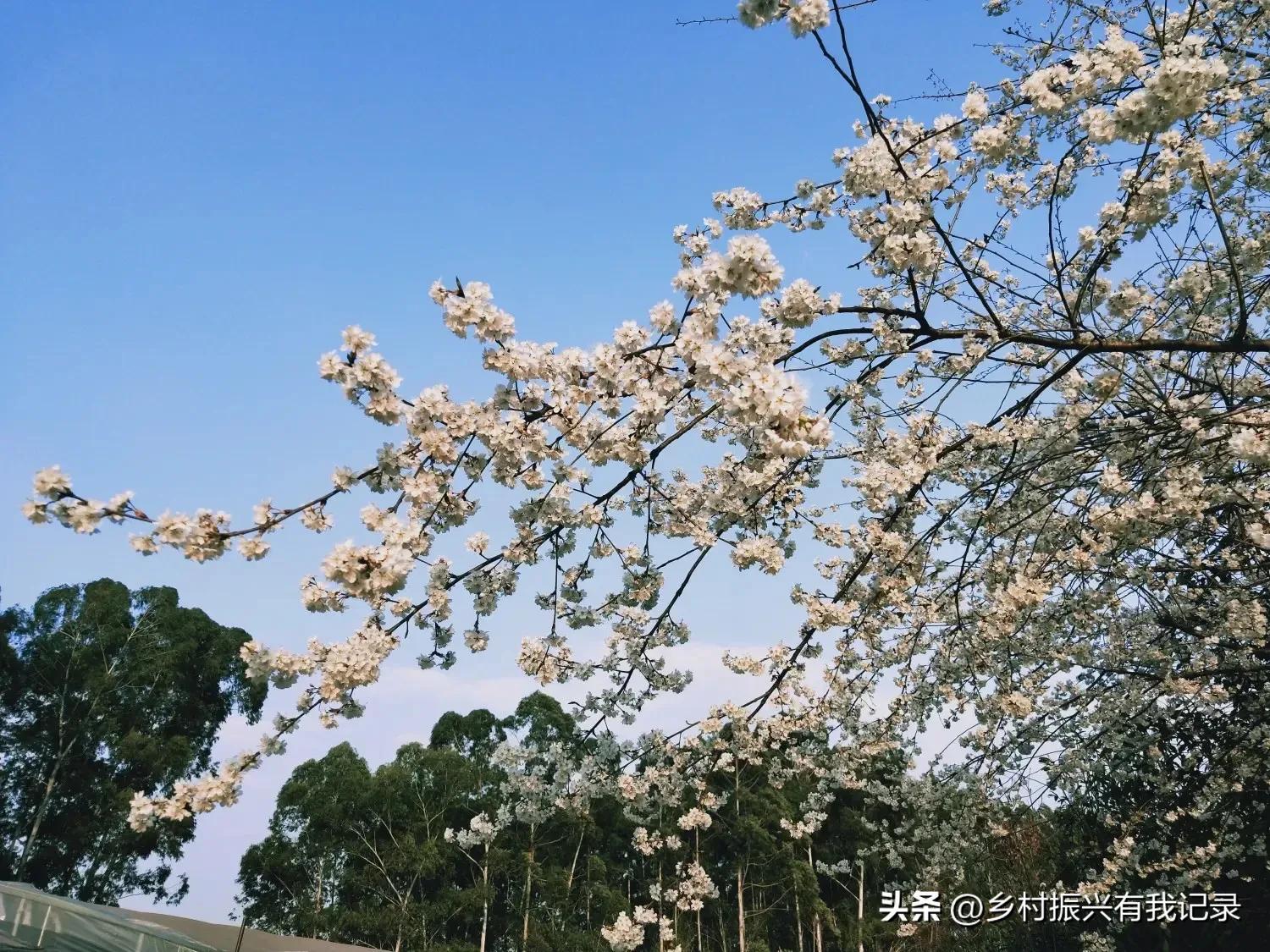 浣曢璐靛窞,浣曢鍘熷垱浣滃搧