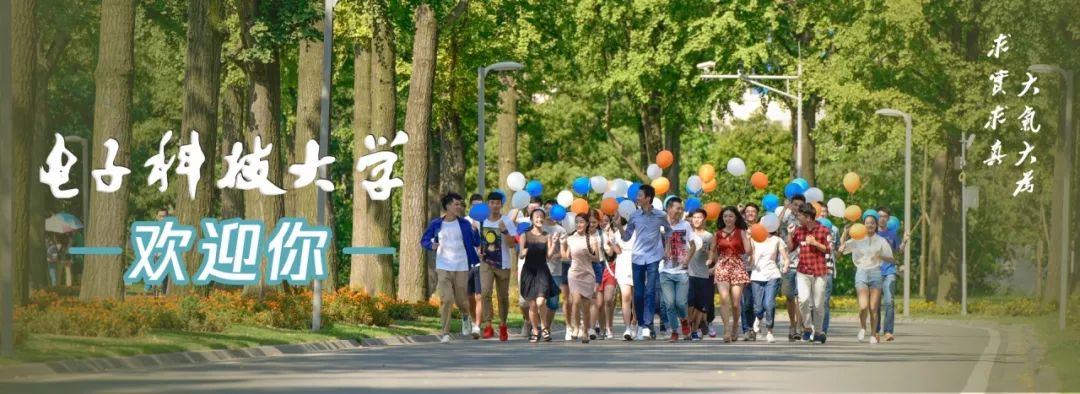 电子科技大学国际本科招生简章,电子科技大学国际学院招生简章