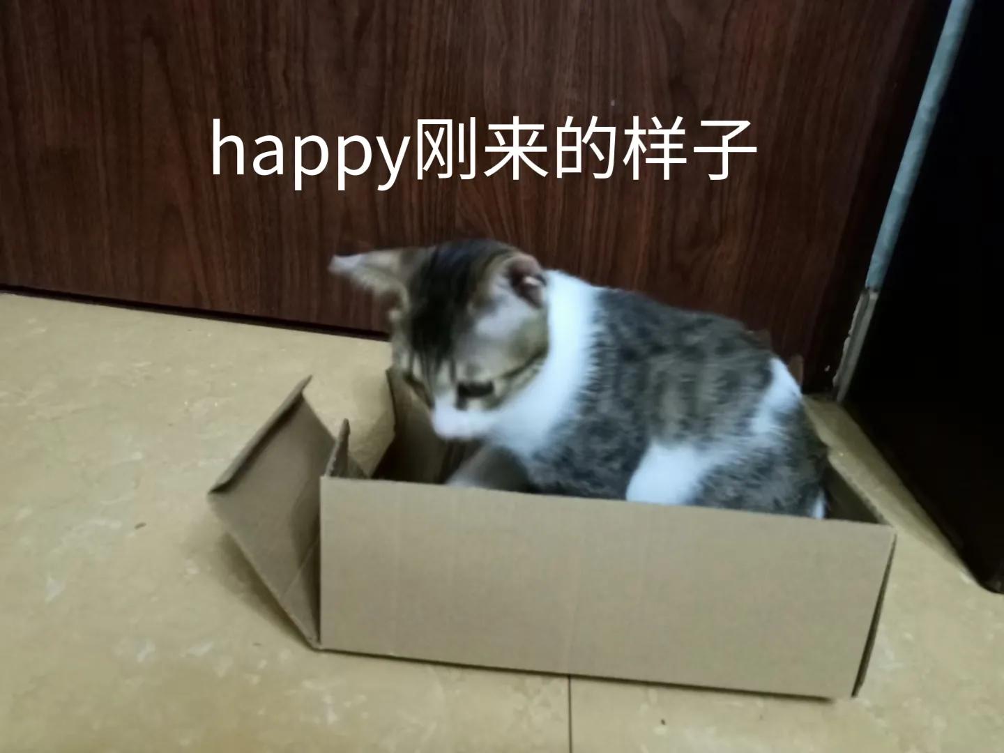 happy鎴戠殑濂冲鎻掓洸,浣爃appy鎴戜篃happy