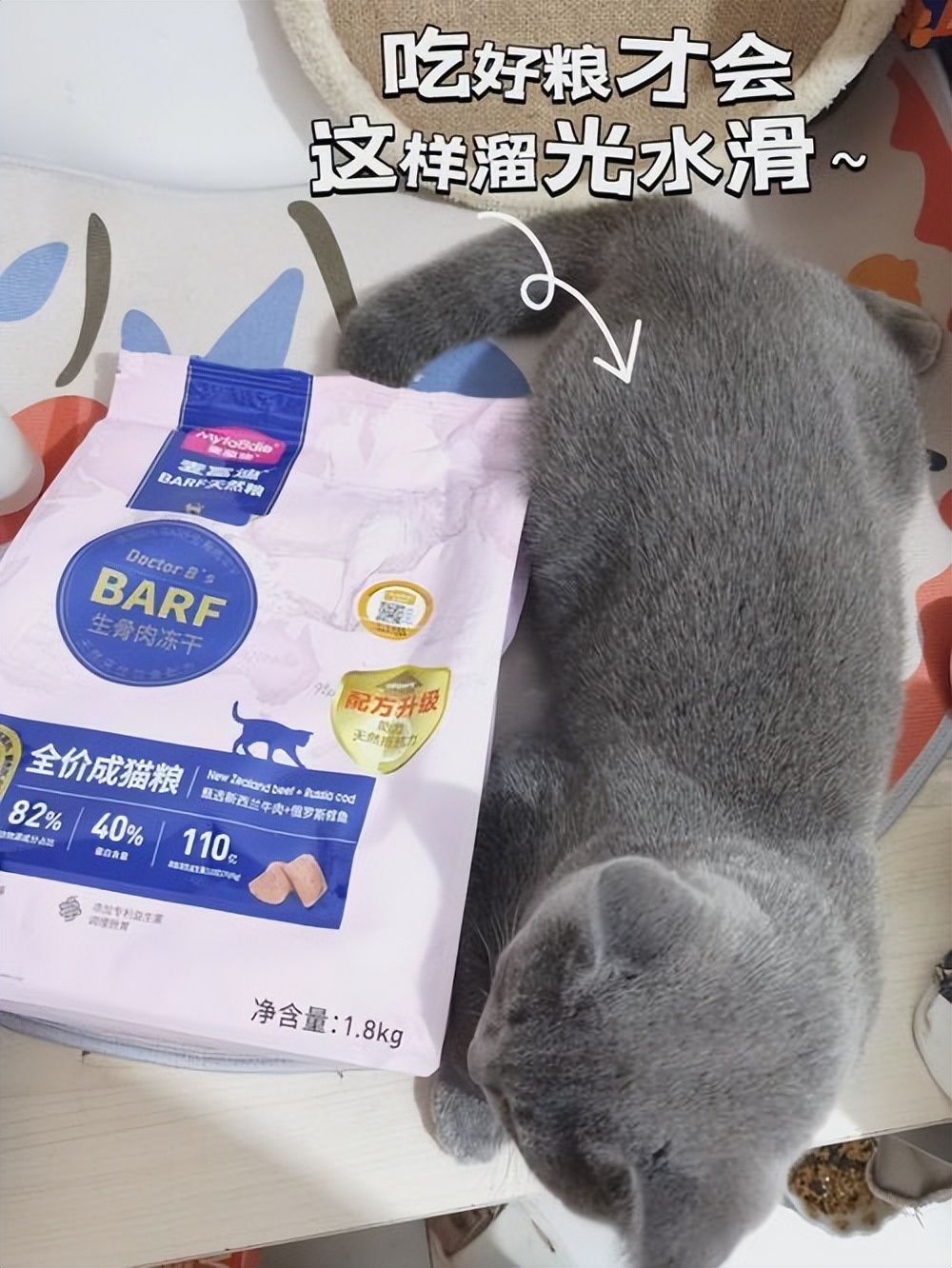 怎么纠正幼猫咬手扑脚,猫咬人怎么教育