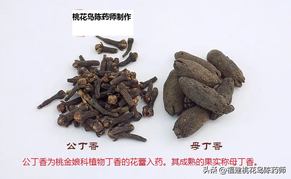 十七味中药功效和作用,温里散寒的药物有哪些