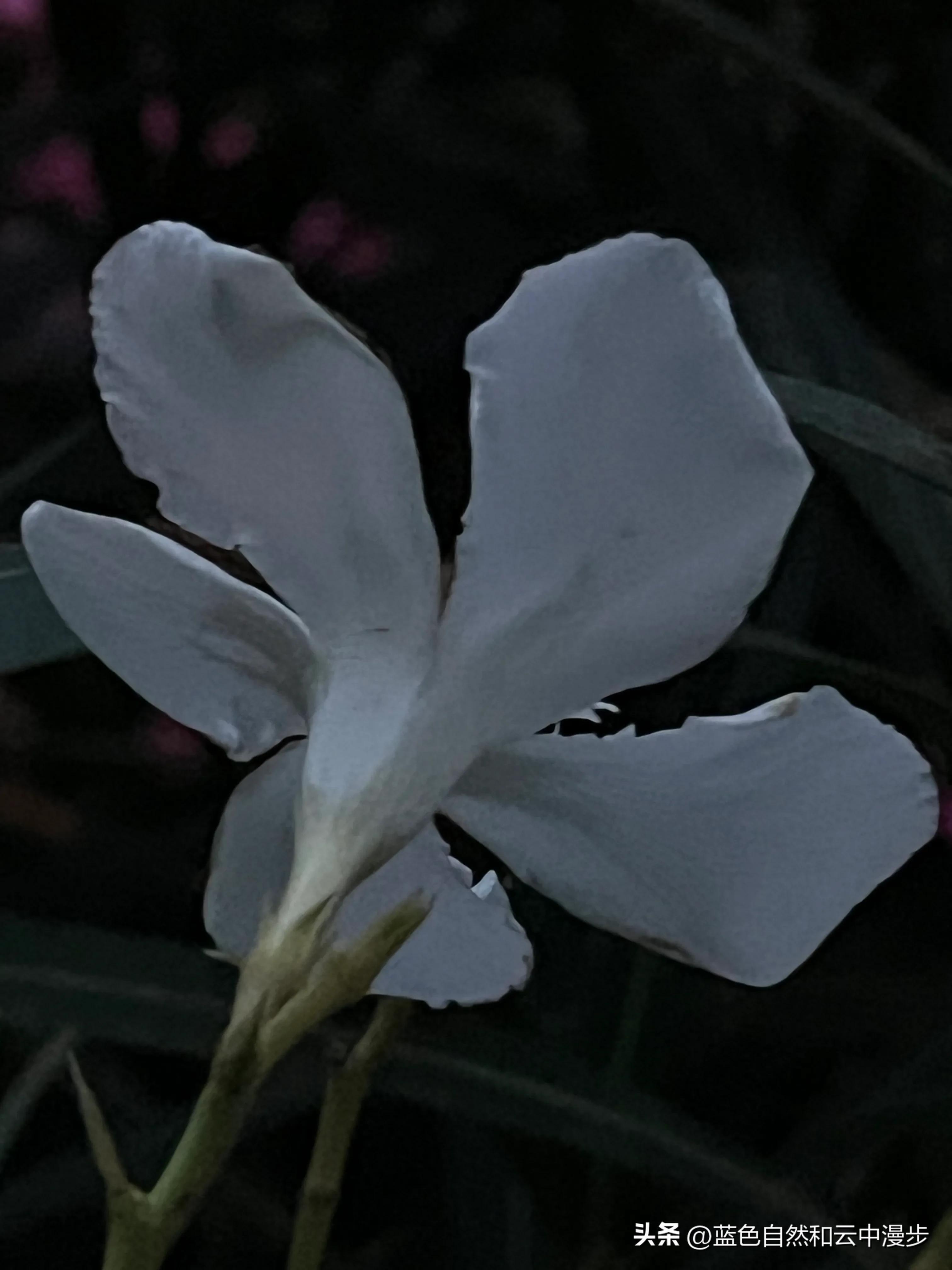 高中生找暑期工,找暑假工比较靠谱的方法